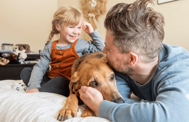 The Pet Humanization Phenomenon — How Treating Pets Like Family Influences Spending & Design