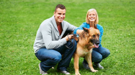 How Social Media Is Shaping Pet Ownership Trends — Influencers, Viral Pet Stories, Cultural Shifts