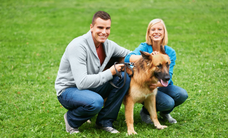 How Social Media Is Shaping Pet Ownership Trends — Influencers, Viral Pet Stories, Cultural Shifts