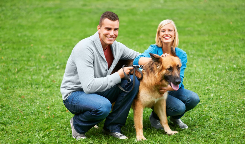 How Social Media Is Shaping Pet Ownership Trends — Influencers, Viral Pet Stories, Cultural Shifts