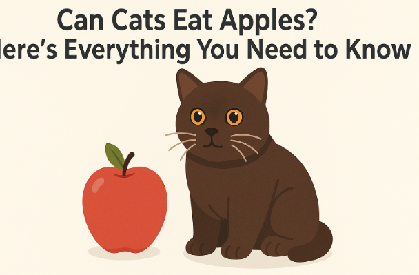 Can Cats Eat Apples? Here’s Everything You Need to Know