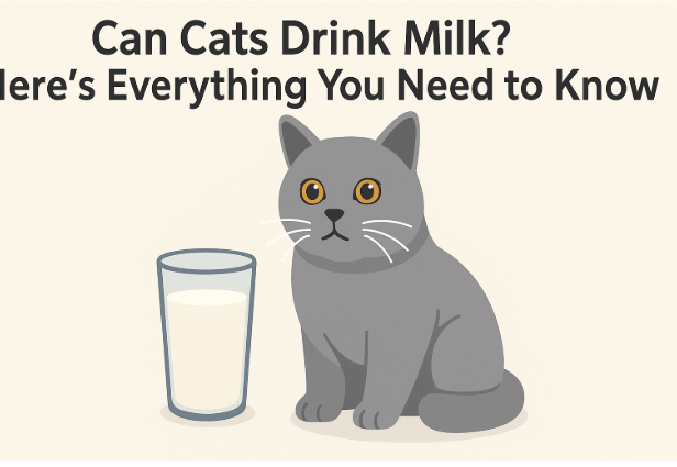 Can Cats Drink Milk? Here’s Everything You Need to Know